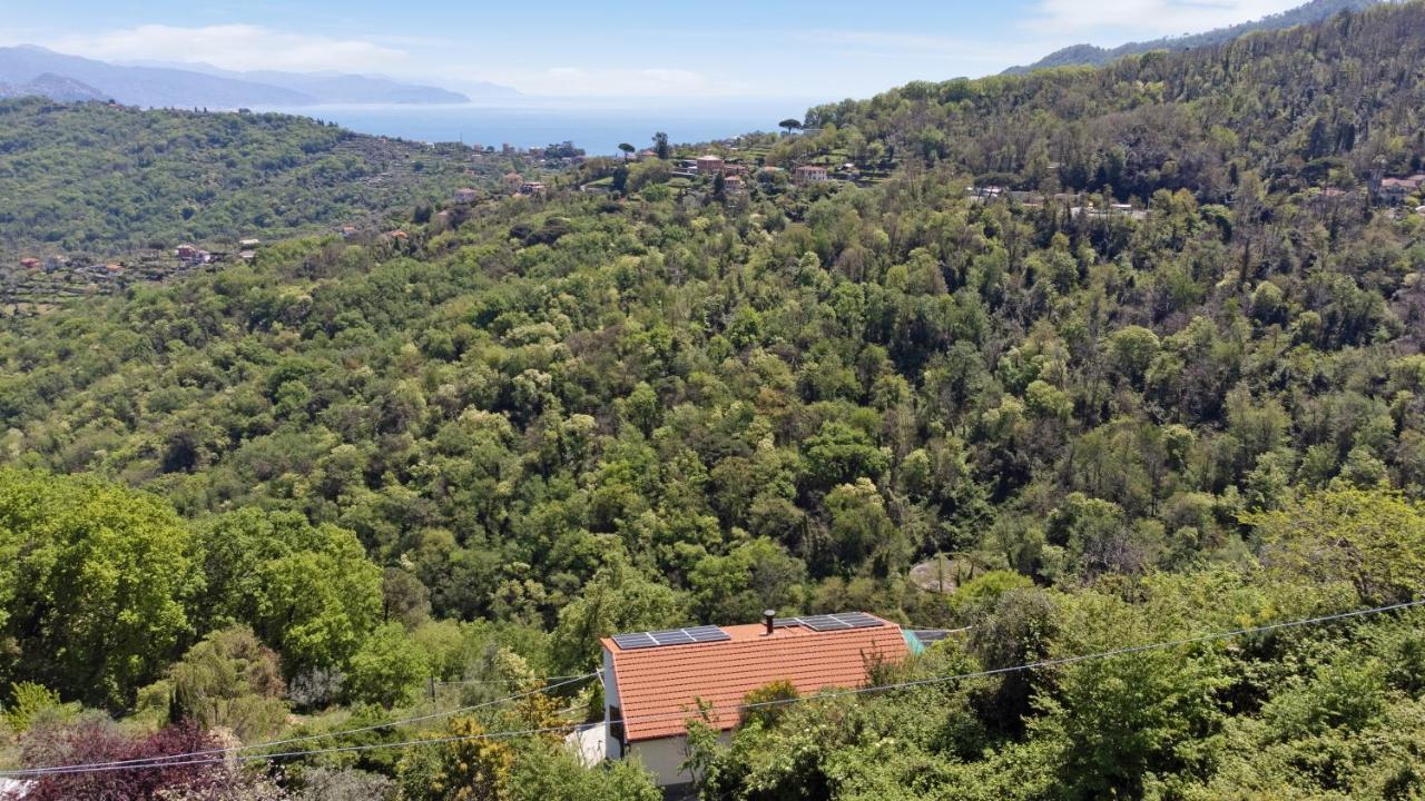 Monolocale Fattorialmare Viola Daire Camogli Dış mekan fotoğraf