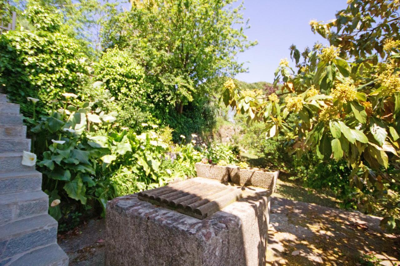 Monolocale Fattorialmare Viola Daire Camogli Dış mekan fotoğraf